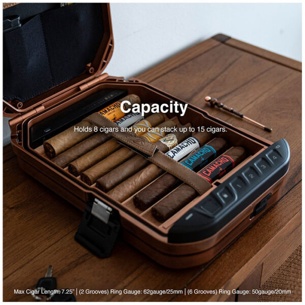 LifePod 2.0 Humidor in antique brass Biometric Portable Lockbox (LifePod 2.0 Humidor Biometric Portable Lockbox LH20B-AB